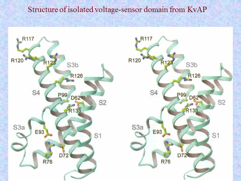 Structure of isolated voltage-sensor domain from KvAP